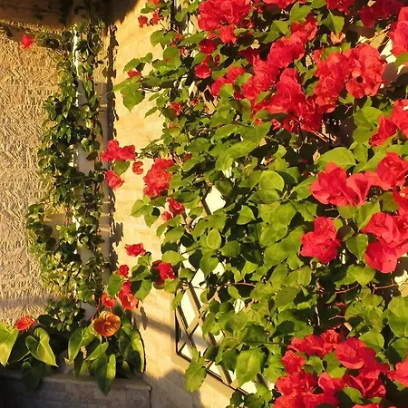 Apartamento Varandas Da Fe Funchal (Madeira)